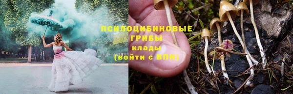 МДПВ Пестово